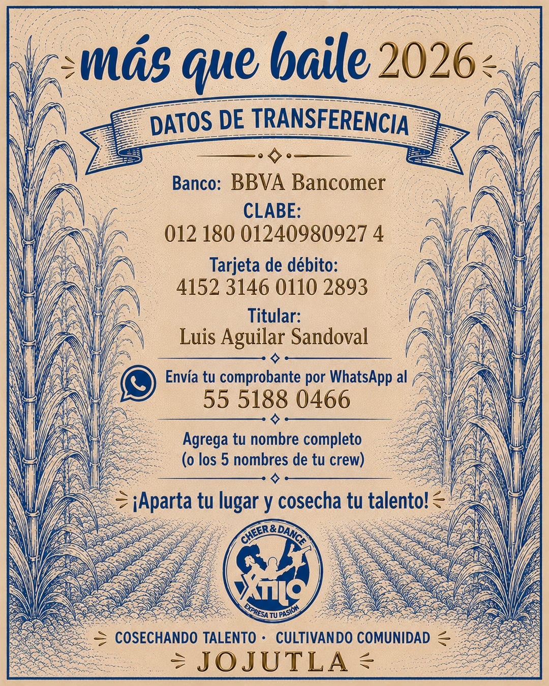Datos de transferencia · Más que Baile 2026